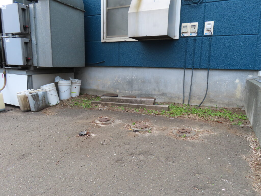 草取り