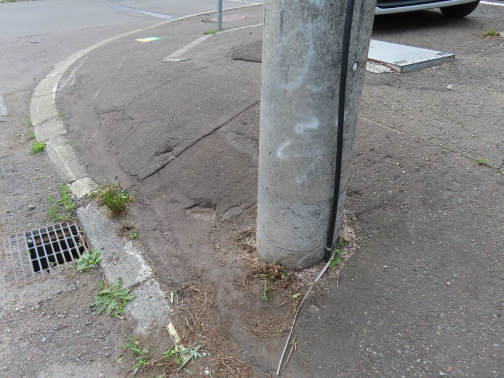草取り