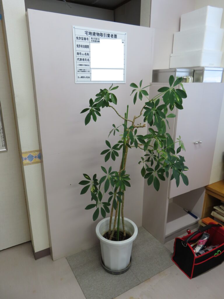 宅地建物取引業者票