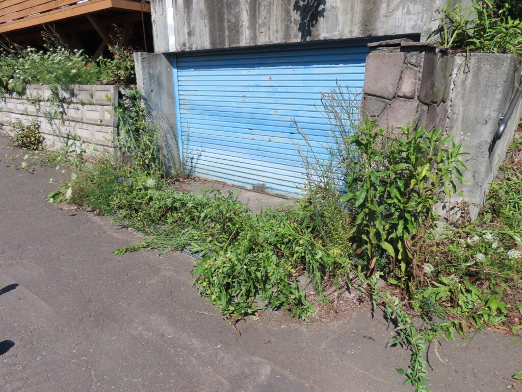 草刈り