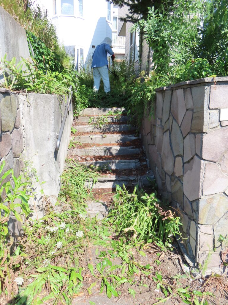 草刈り