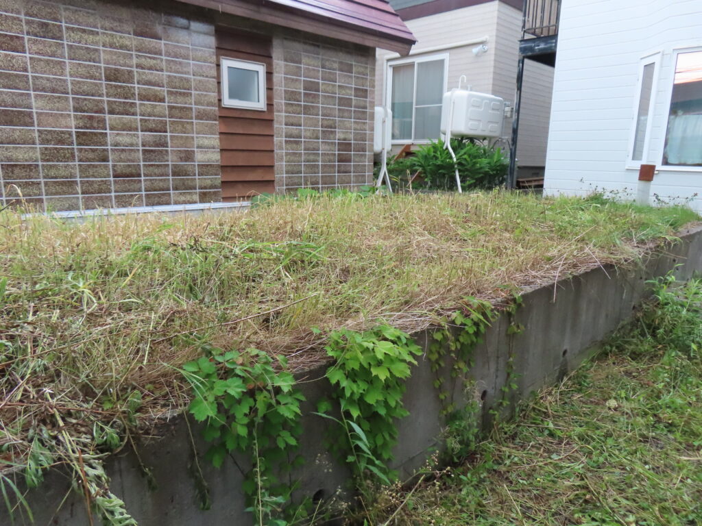 草刈り