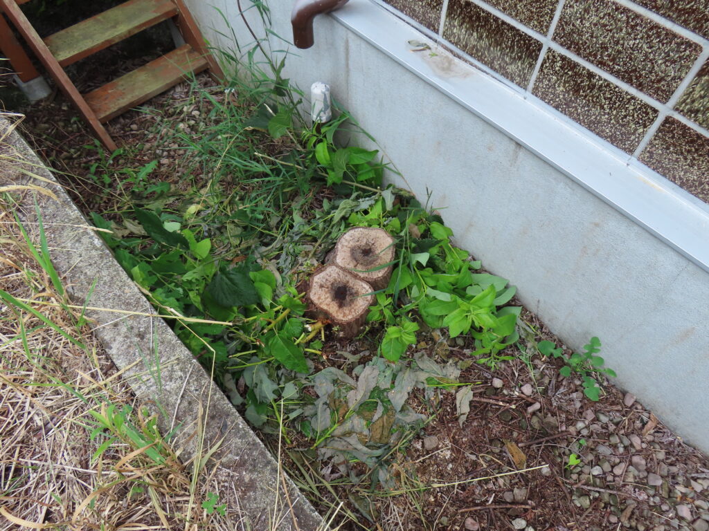 除草剤