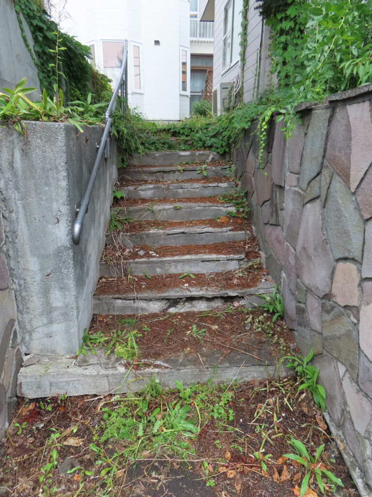 草刈り
