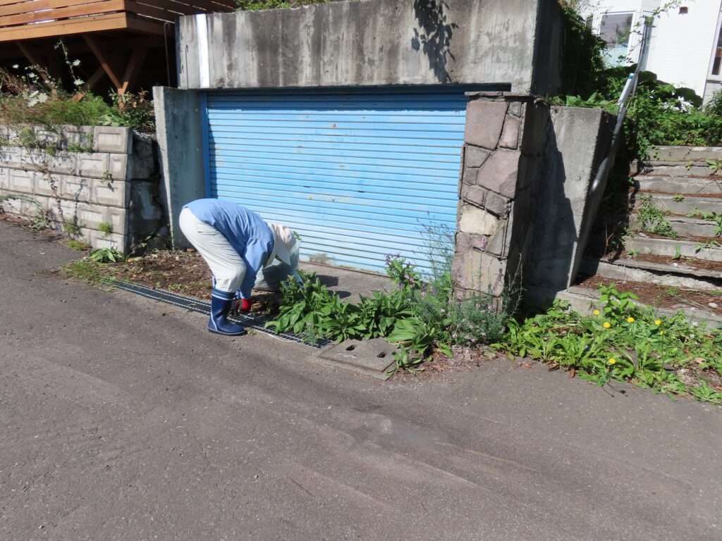 草刈り