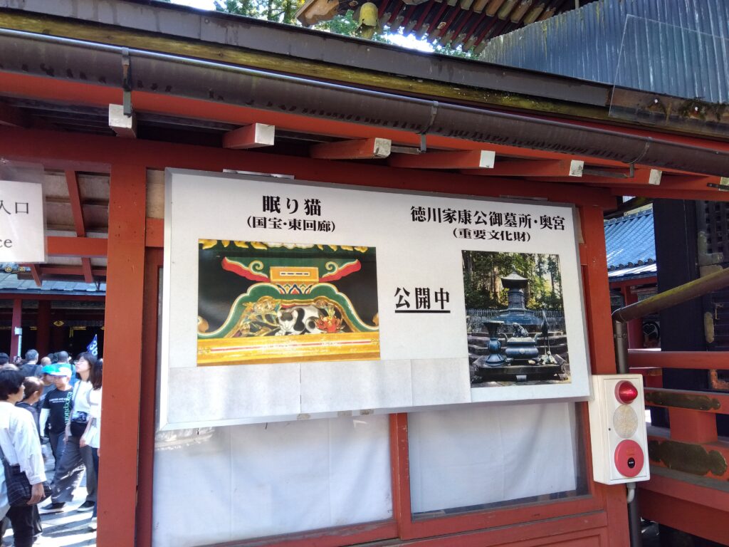 眠り猫