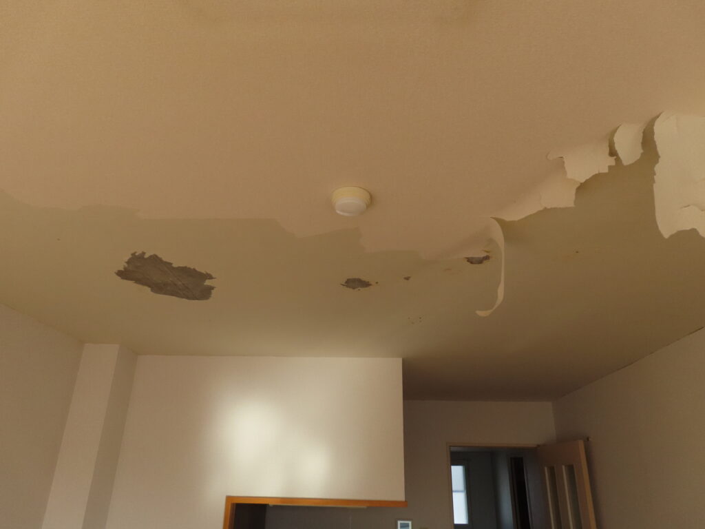 ３０３天井クロスはがし