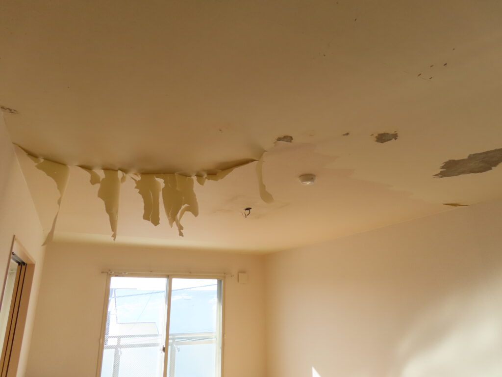 天井クロスはがし