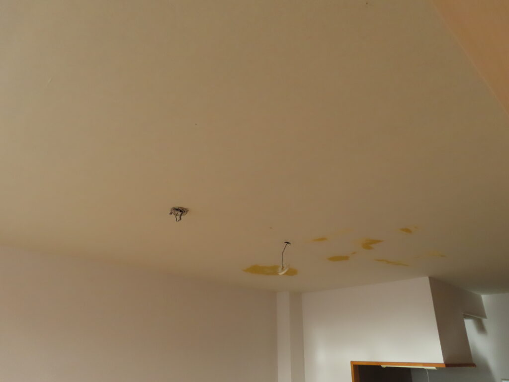 ３０３天井クロスはがし