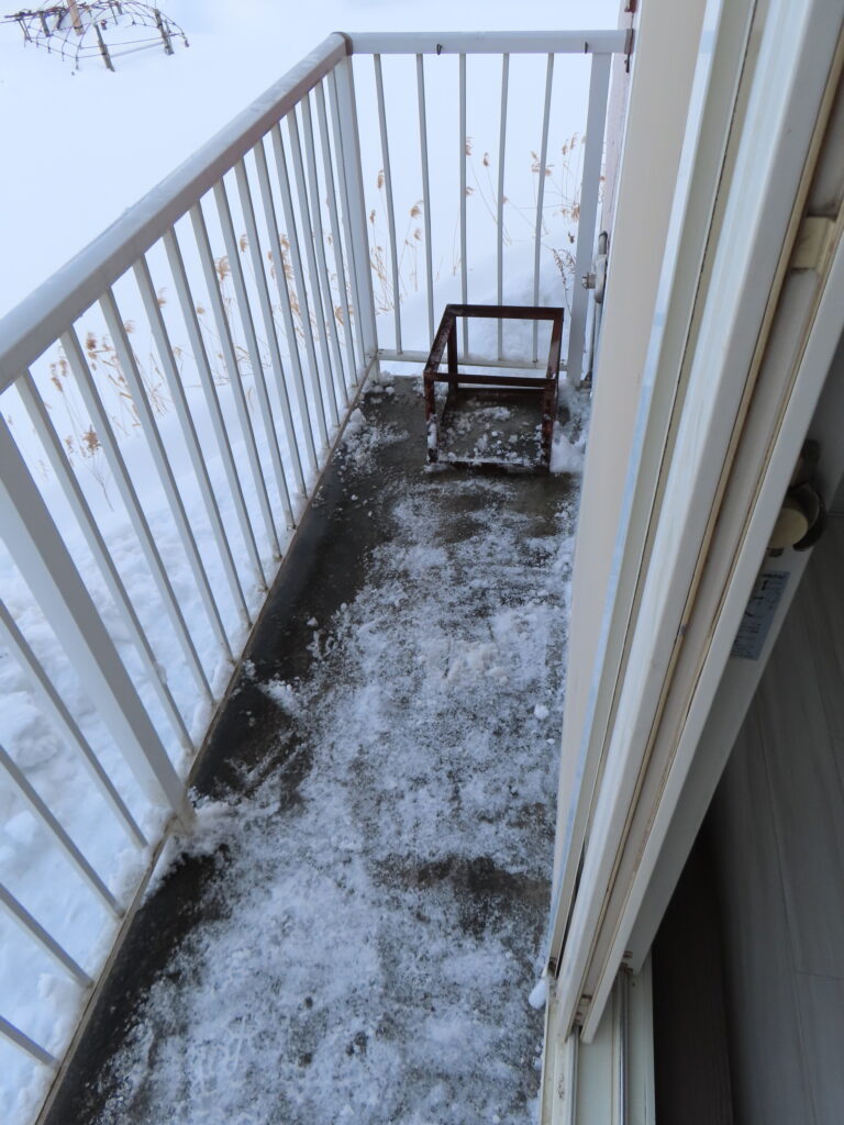 ベランダ除雪