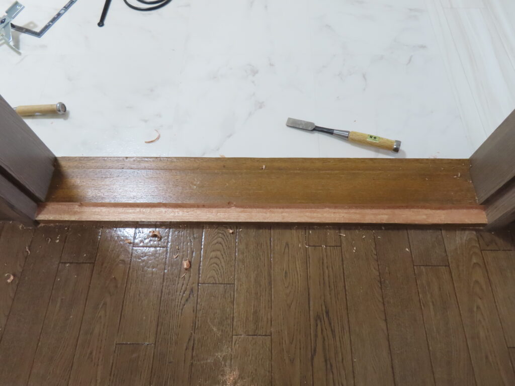 ノミ