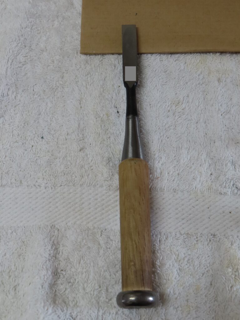 ノミ