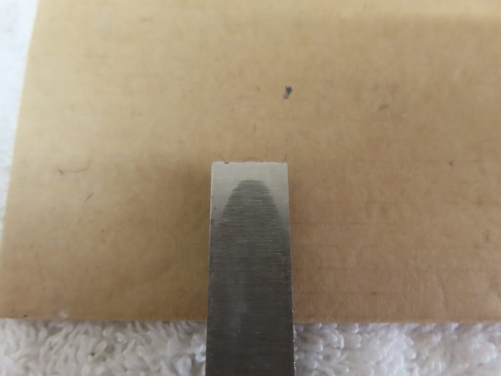 ノミ