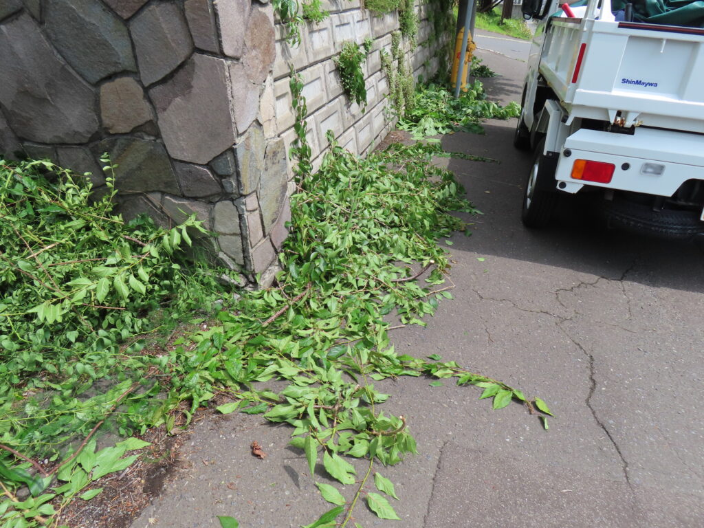 草刈り