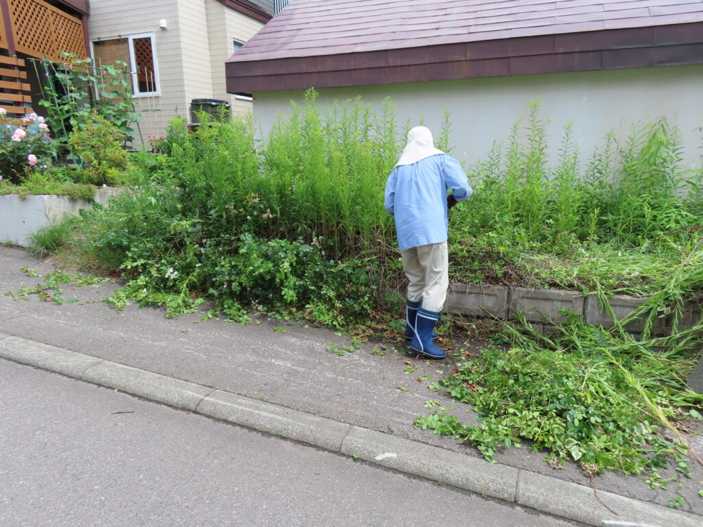 草刈り