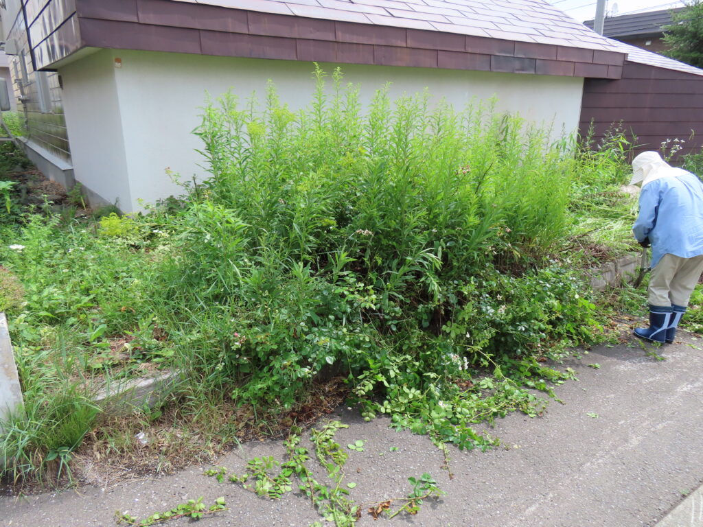草刈り