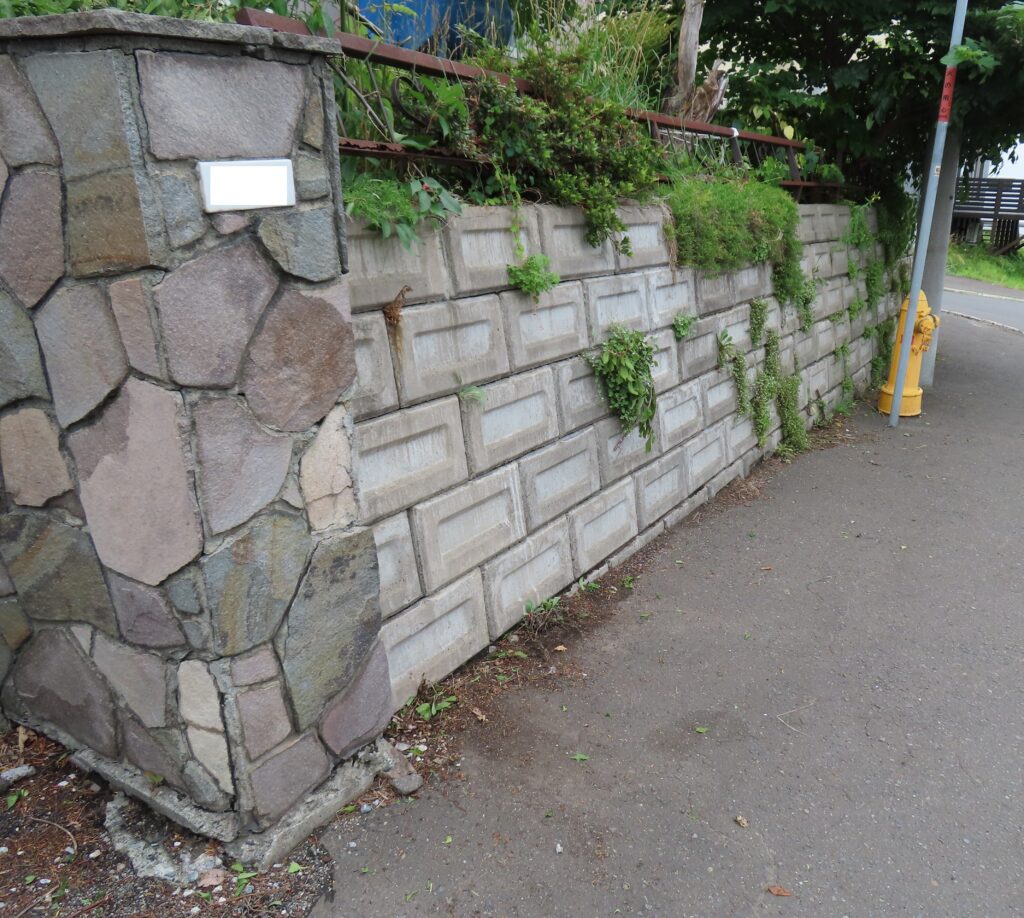 草刈り