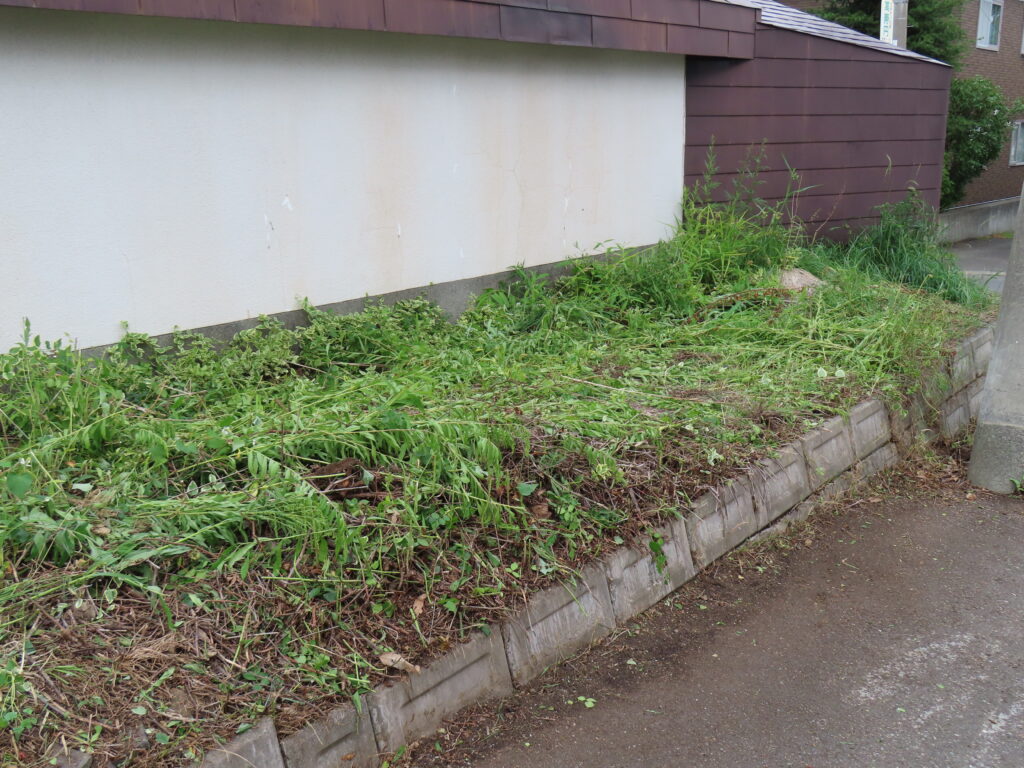 草刈り