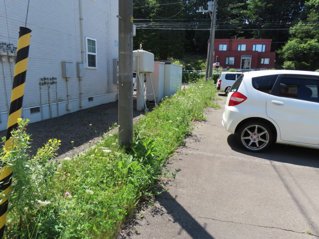 草刈り