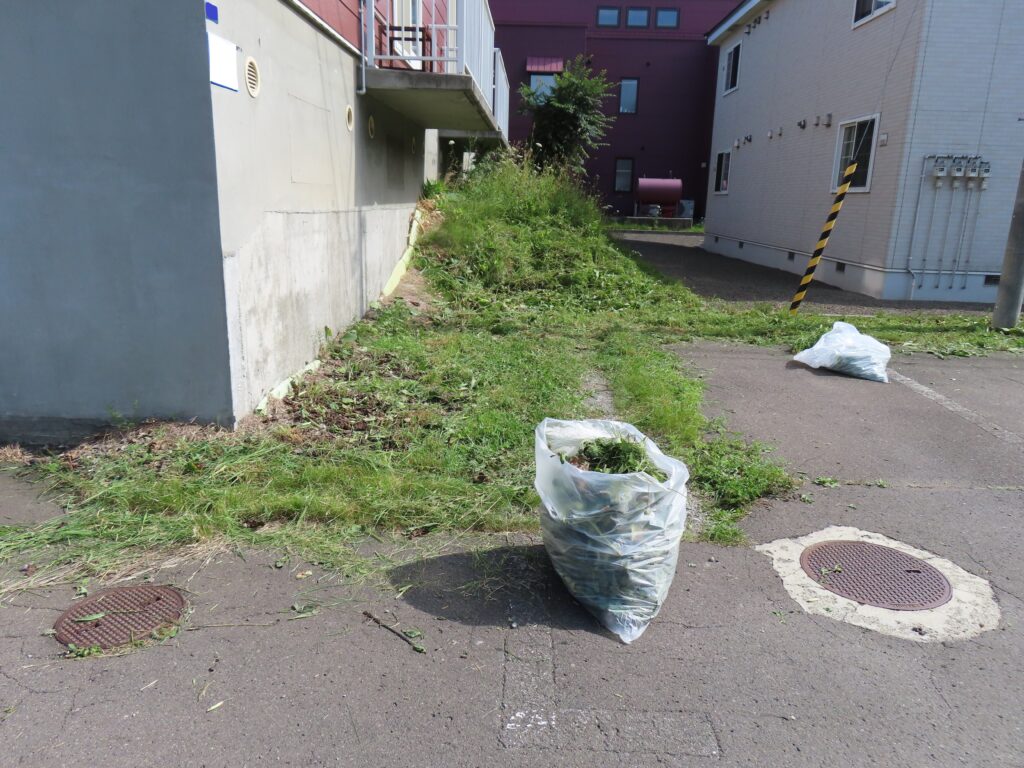 草刈り