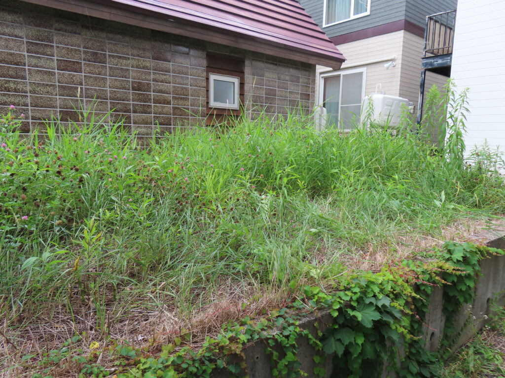 草刈り