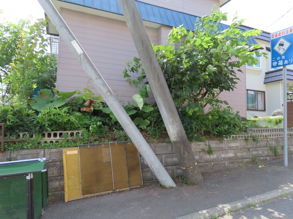 草刈り